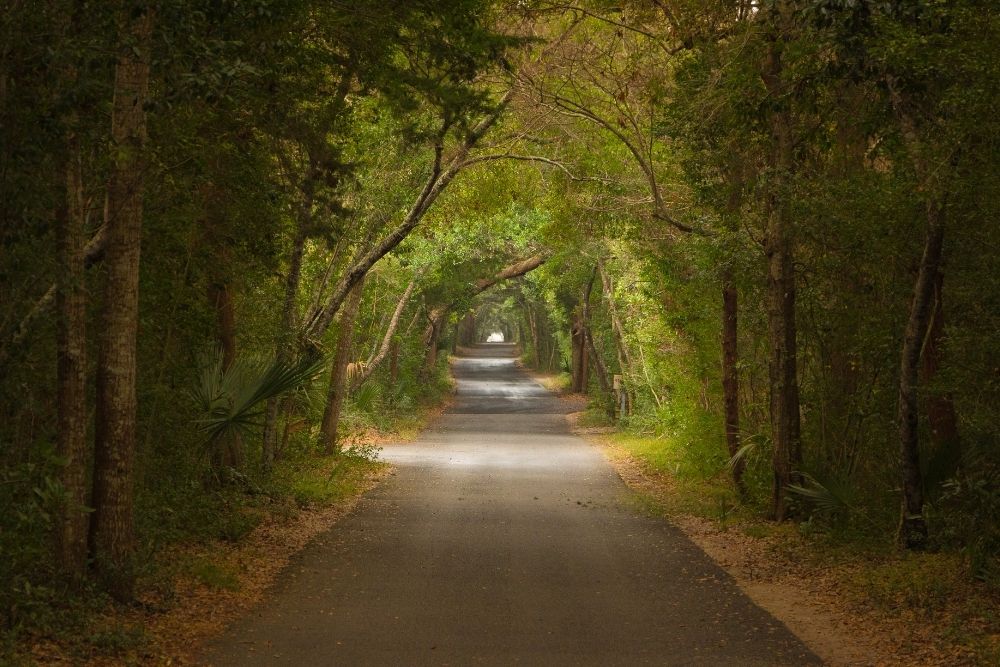 federal road on bald head island