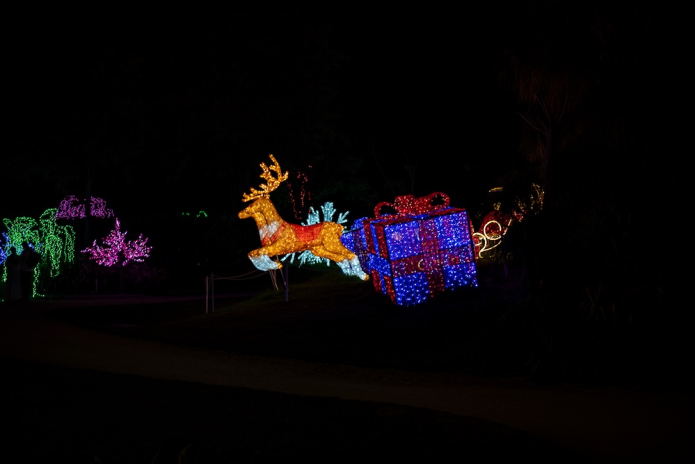 reindeer with lights at night